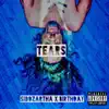 Siddzartha & Birthday - Tears - Single